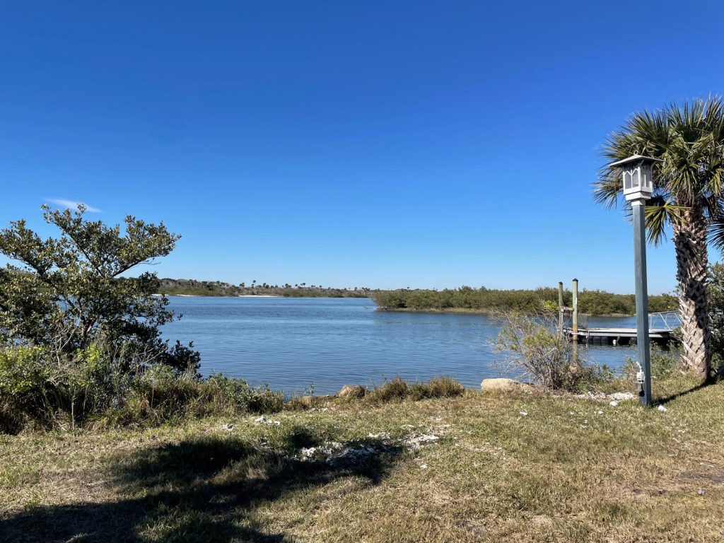 A calm waterfront scene with clear blue sky, showing a grassy shoreline, shrubs, and a dock extending into the water beside a palm tree.