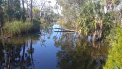 Crystal River, FL