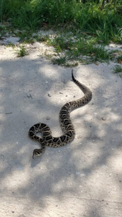 St. Sebastian, FL