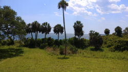 Tyndall, FL