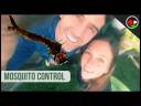 How They Control Mosquitoes – THE BASICS