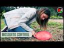 A Natural Way to Get Rid of Mosquitoes for Good!